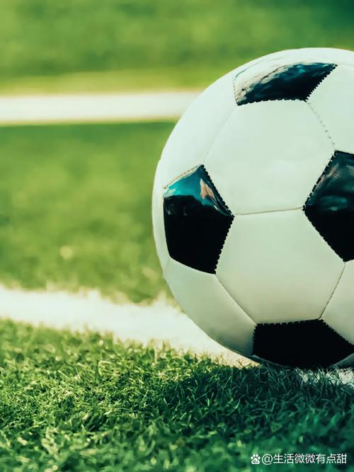 竞彩新手学习任选9场玩法