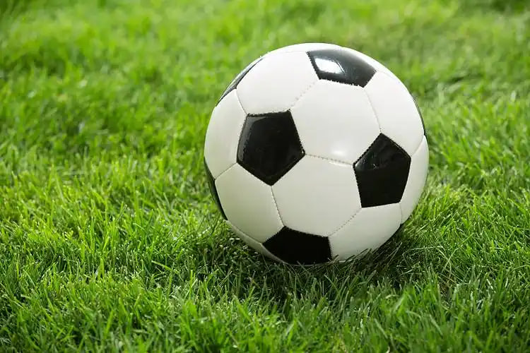 进阶玩家数据分析工具